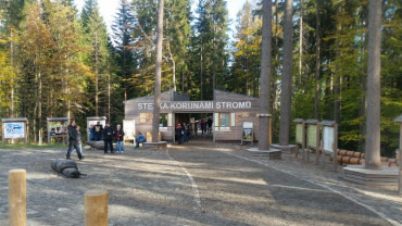 [20181006-145458.jpeg]