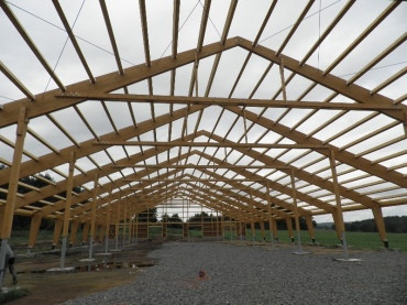 [kravin-velky-bor-008-01.jpeg]